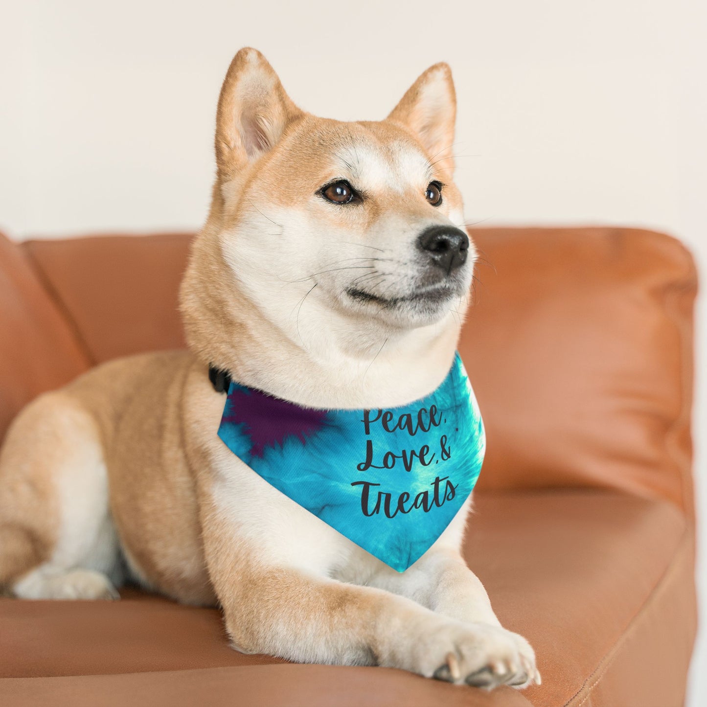 Peace, Love and Treats Dog Bandana Collar