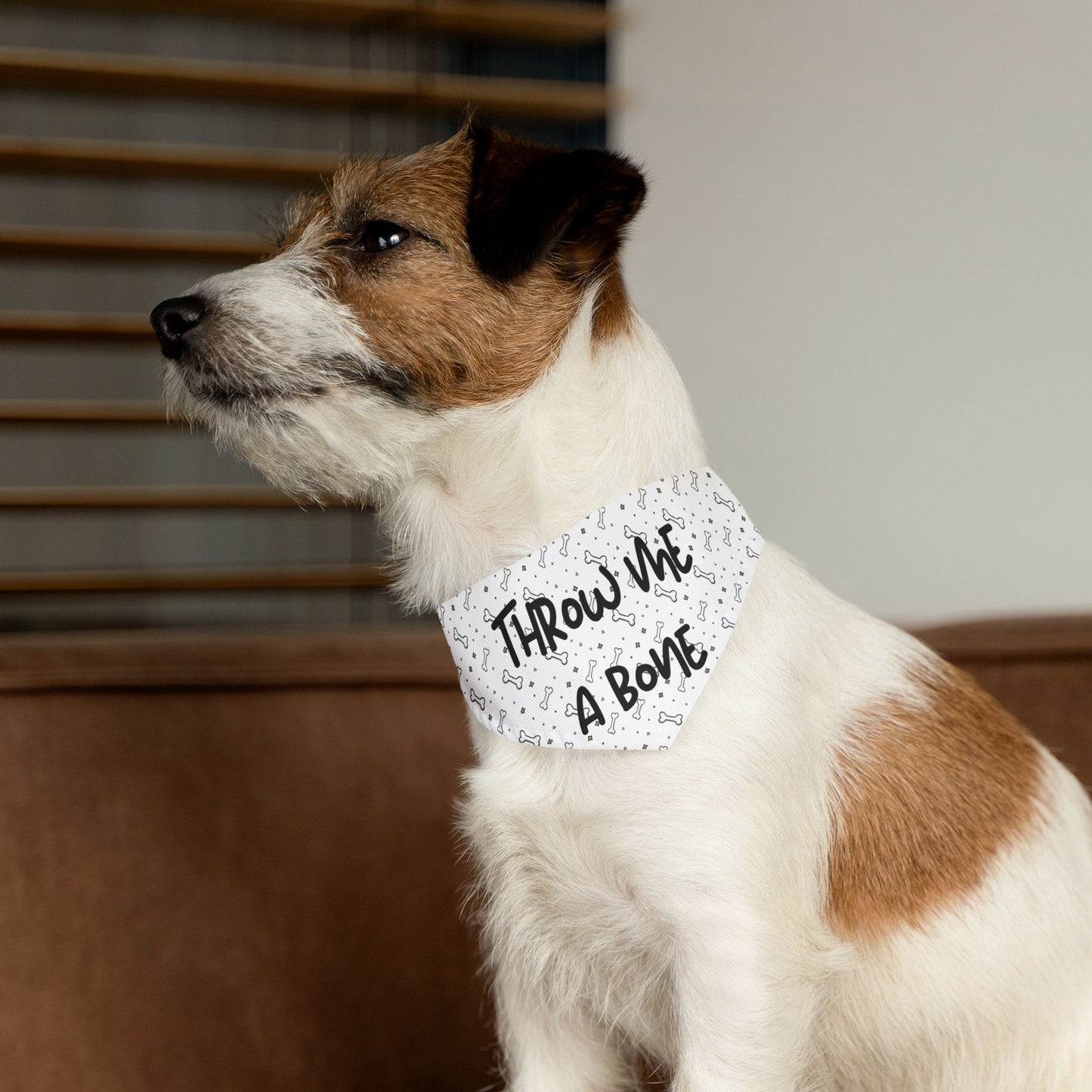 Throw Me A Bone Dog Bandana Collar