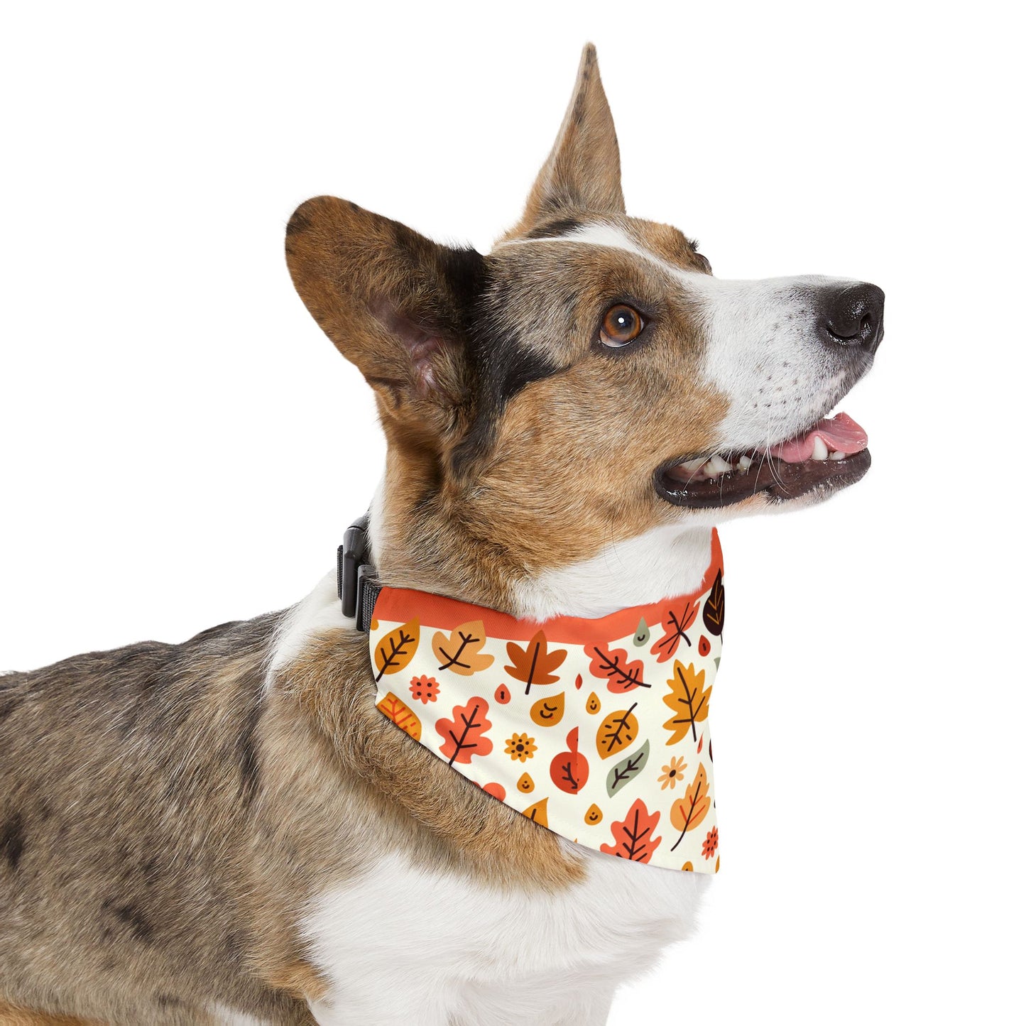 Fall Turkey Dog Bandana Collar