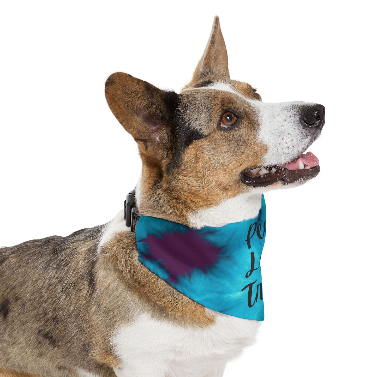 Peace, Love and Treats Dog Bandana Collar