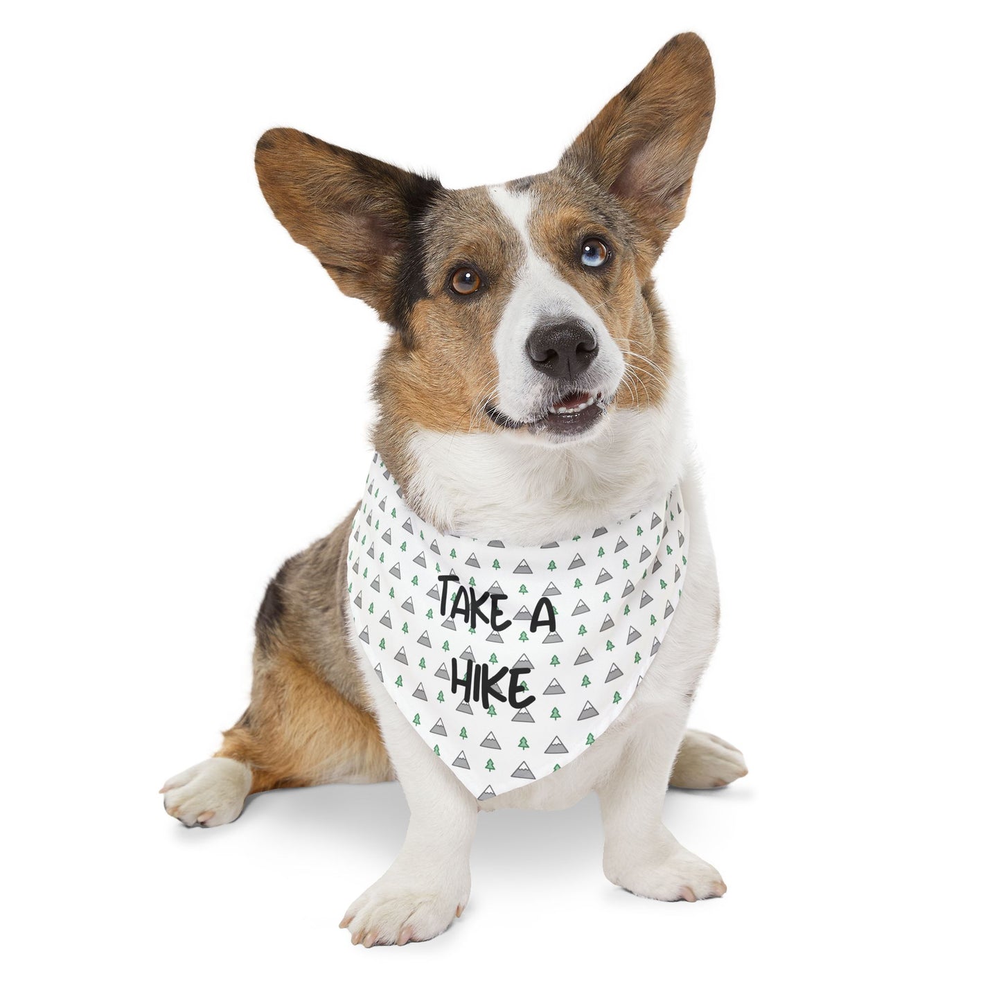 Take a Hike Dog Bandana Collar